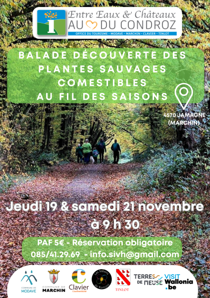 Balade_plantes_2026-11-19